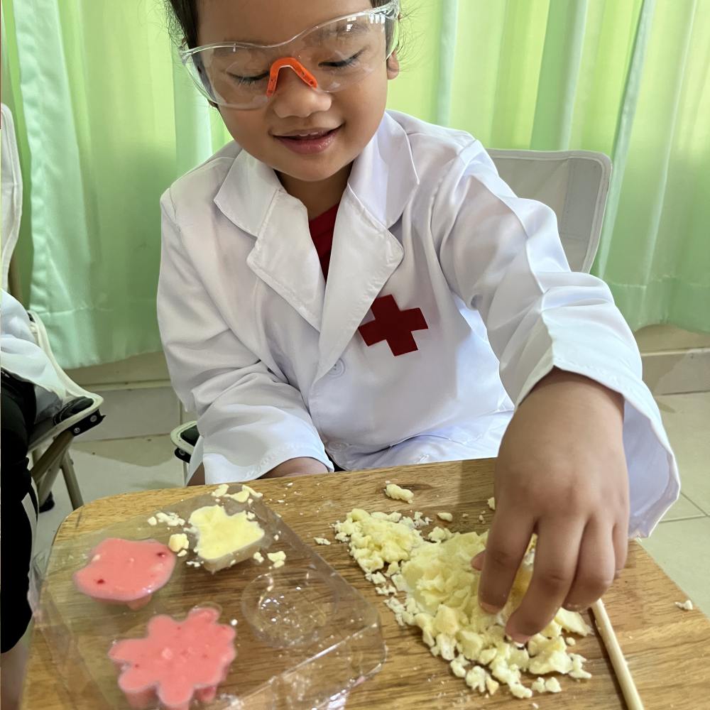 Science Project Kits: image 6